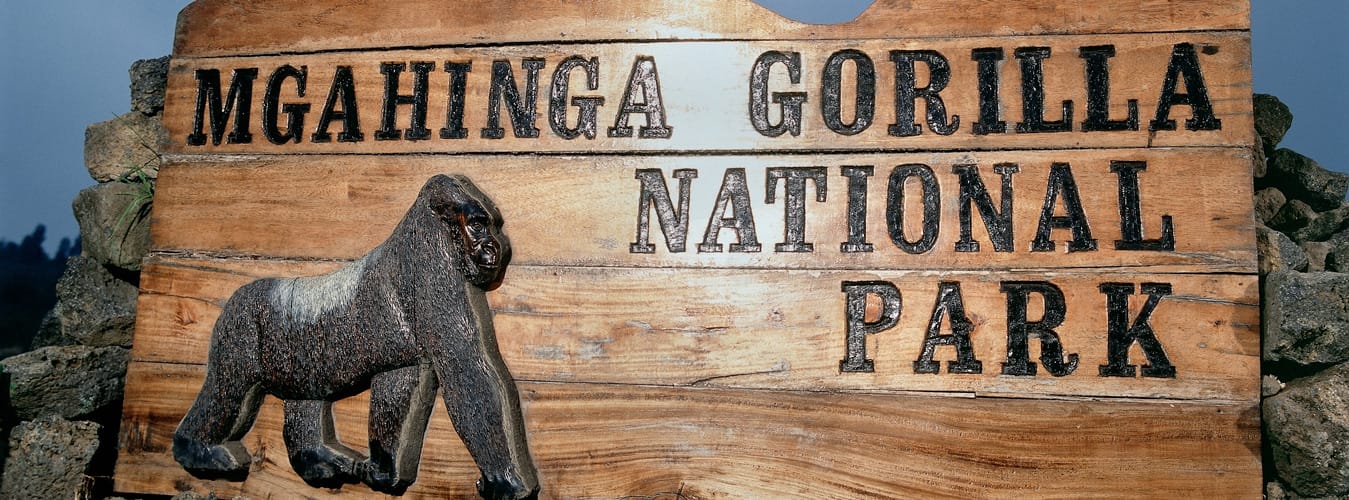 	Entrée de Ntebeko – parc national de Mgahinga Ouganda avec Afraeka Adventures