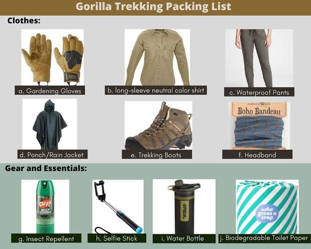 Gorilla trekking clothing layers – base, mid, and outer layers for Bwindi