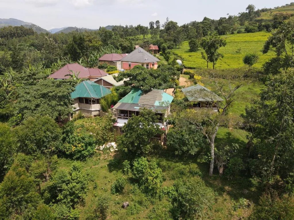 Hébergement pas cher près de Bwindi pour budget Ouganda – Afraeka Adventures