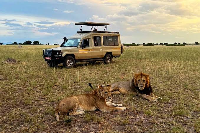 Hidden costs Uganda safari quotes extra fees – 4x4 safari vehicle with extra fees