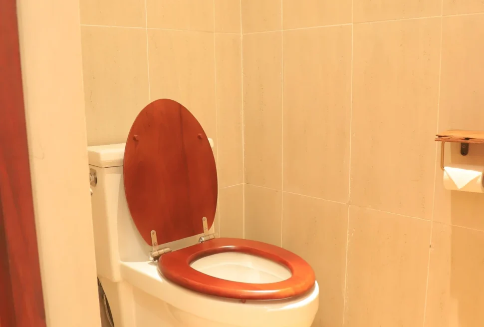 Hot water flush toilet facilities Uganda safari camps – modern flush toilet at a Uganda safari camp
