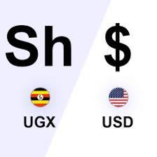 How much cash to bring to Uganda per day – tipping a safari guide in Uganda