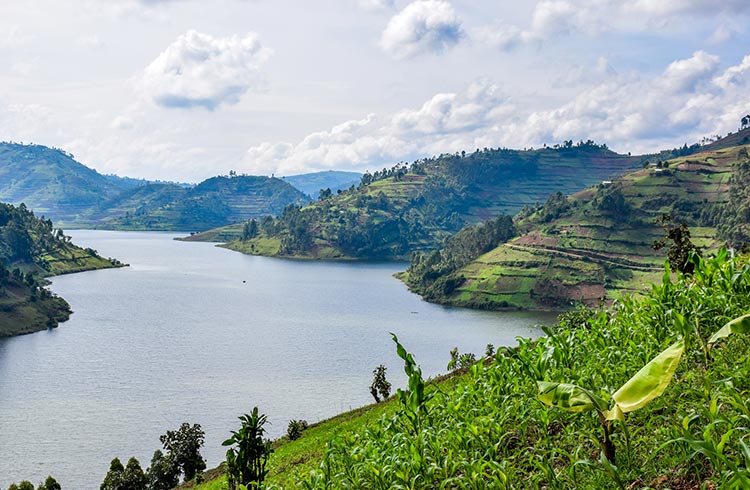 Is Uganda safe for tourists right now – Kampala city street with tourists and locals
