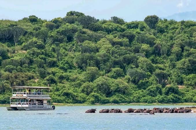 3-Day Queen Elizabeth Safari 2026: Ultimate Uganda Wildlife Safari Package