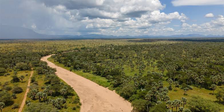 Kidepo Valley Hot Air Balloon Photography Safari Cost 2026 – The Truth & Ultimate Guide 2 Kidepo Valley Hot Air Balloon Photography Safari Cost 2026 – The Truth & Ultimate Guide