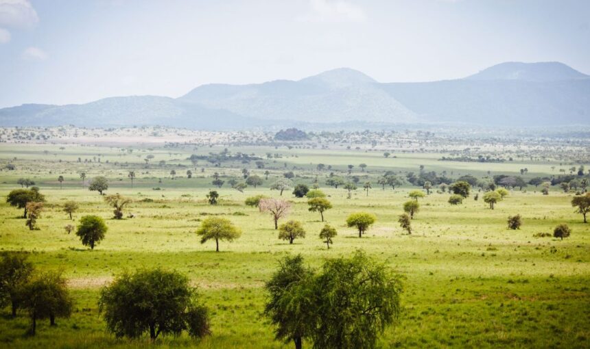 Kidepo Valley National Park Worth the Long Drive? – 2026 Guide