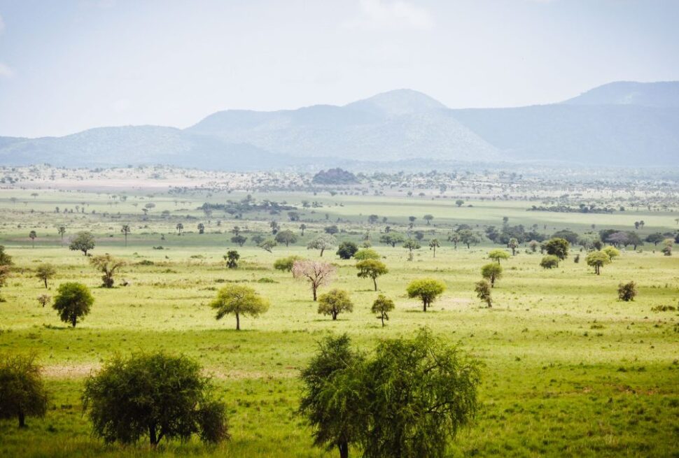 Kidepo Valley National Park worth the long drive – stunning landscape of Kidepo Valley
