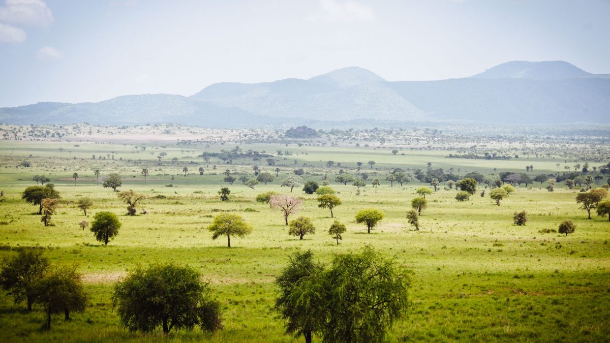 Kidepo Valley National Park worth the long drive – stunning landscape of Kidepo Valley
