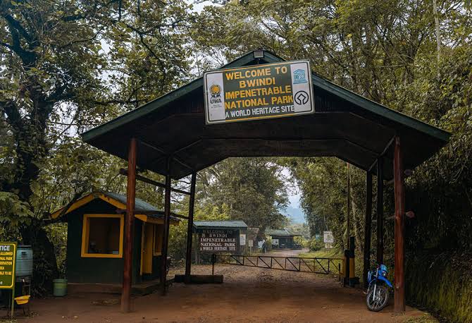 Kigali to Bwindi drive time border crossing – Bwindi Impenetrable Forest entrance