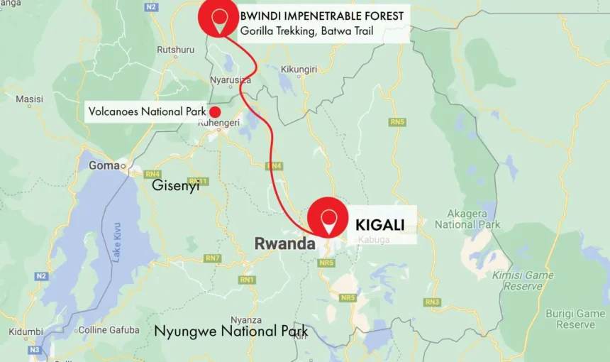 Kigali to Bwindi Drive Time Border Crossing – 2026 Guide