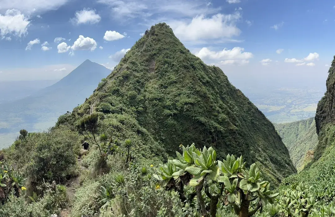 Randonnée sur le mont Sabinyo – volcan du parc national de Mgahinga avec Afraeka Adventures