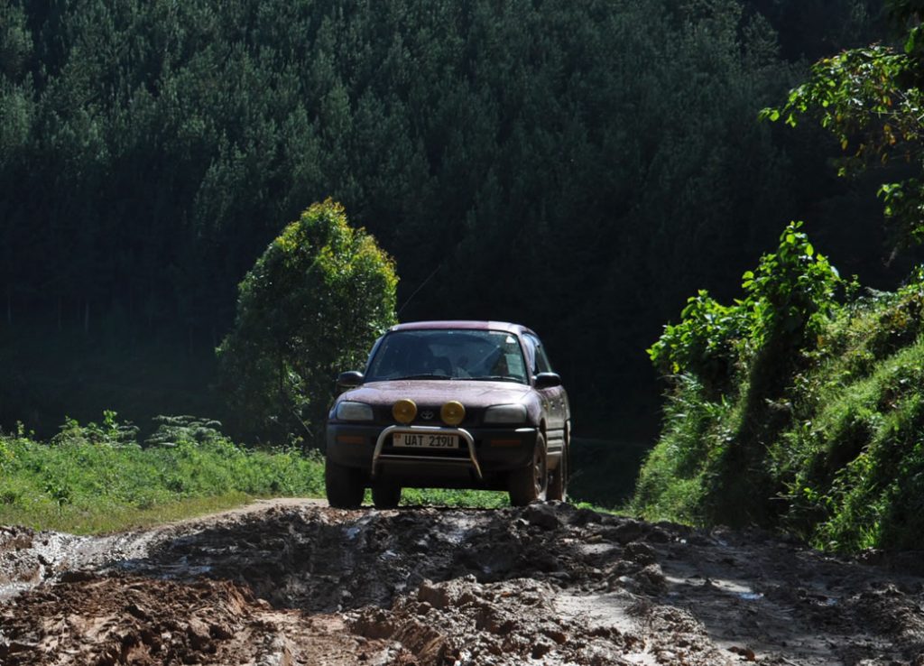 Off road driving rules Queen Elizabeth park – designated game drive track with wildlife in the background