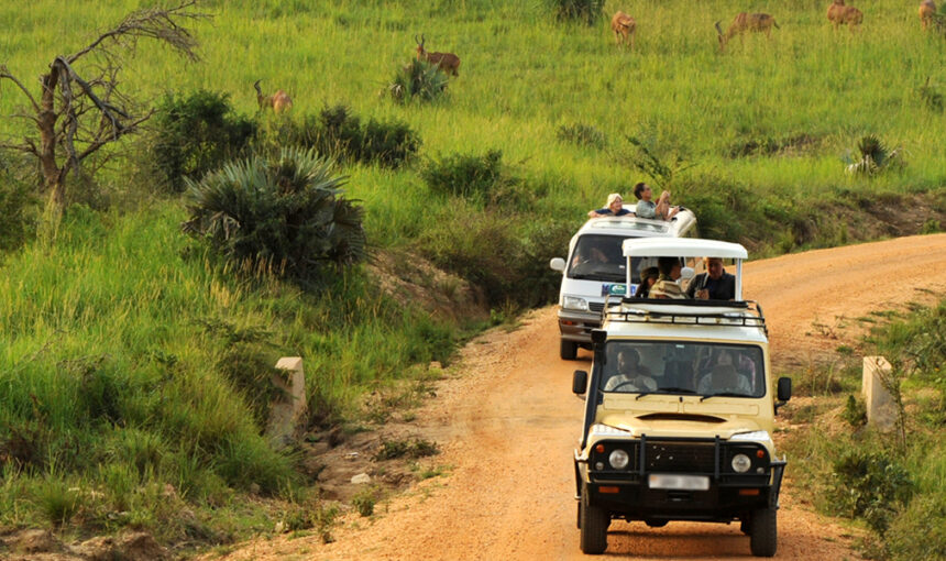 Off Road Driving Rules Queen Elizabeth Park – 2026 Guide