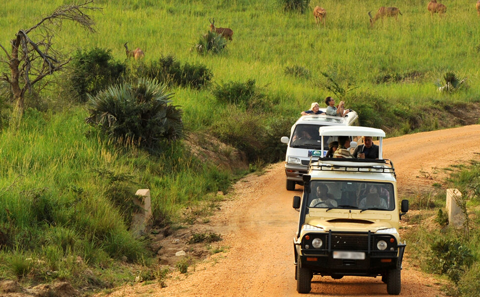 Off road driving rules Queen Elizabeth park – 4x4 vehicle on a game drive track in Queen Elizabeth National Park