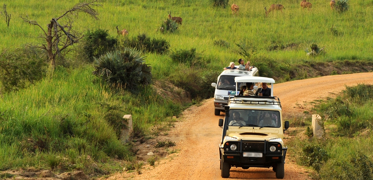 Off road driving rules Queen Elizabeth park – 4x4 vehicle on a game drive track in Queen Elizabeth National Park