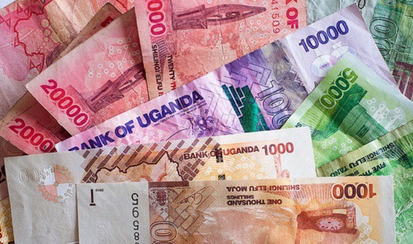 Paying Uganda safari USD vs UGX shillings – safari guide receiving payment