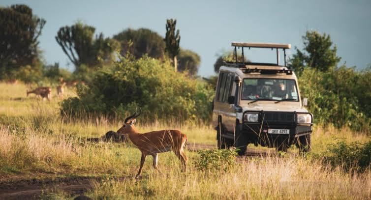 Queen Elizabeth game drive – elephant herd on a 3-day Uganda safari
