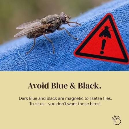 Safari Clothing Color Guide – Blue and Black Attract Tsetse Flies – 2026