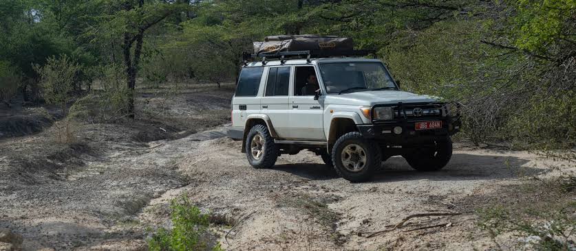 Self drive Uganda gorilla trekking 4x4 rental – gorilla trekking group in Bwindi forest