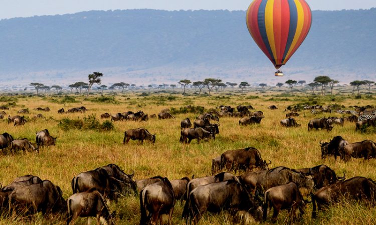 Kidepo Valley Hot Air Balloon Photography Safari Cost 2026 – The Truth & Ultimate Guide 6 Standard hot air balloon safari in Serengeti compared to Kidepo Valley hot air balloon photography safari cost and logistics