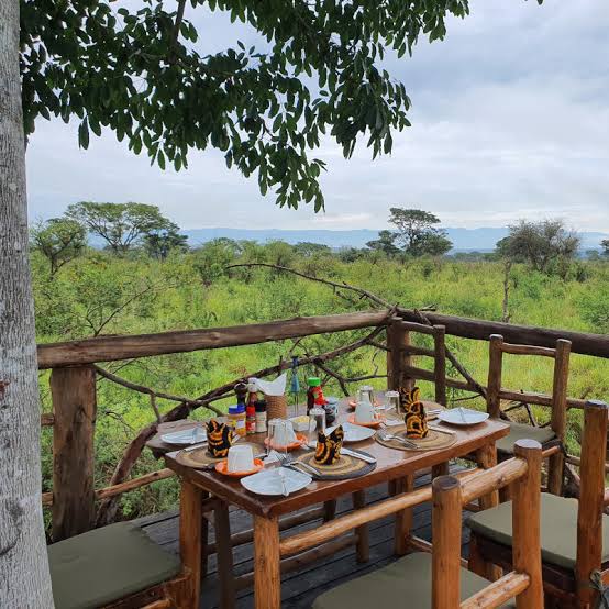 Single supplement fee Uganda safari lodges – solo traveler reviewing budget for safari