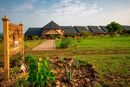 Solar power wifi schedule safari lodges Uganda – using wifi at a safari lodge