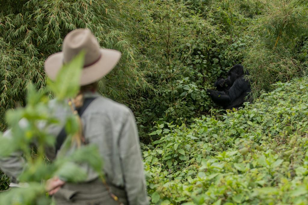 Solo Female Travel Uganda 2026 – The Ultimate Safety & Adventure Guide