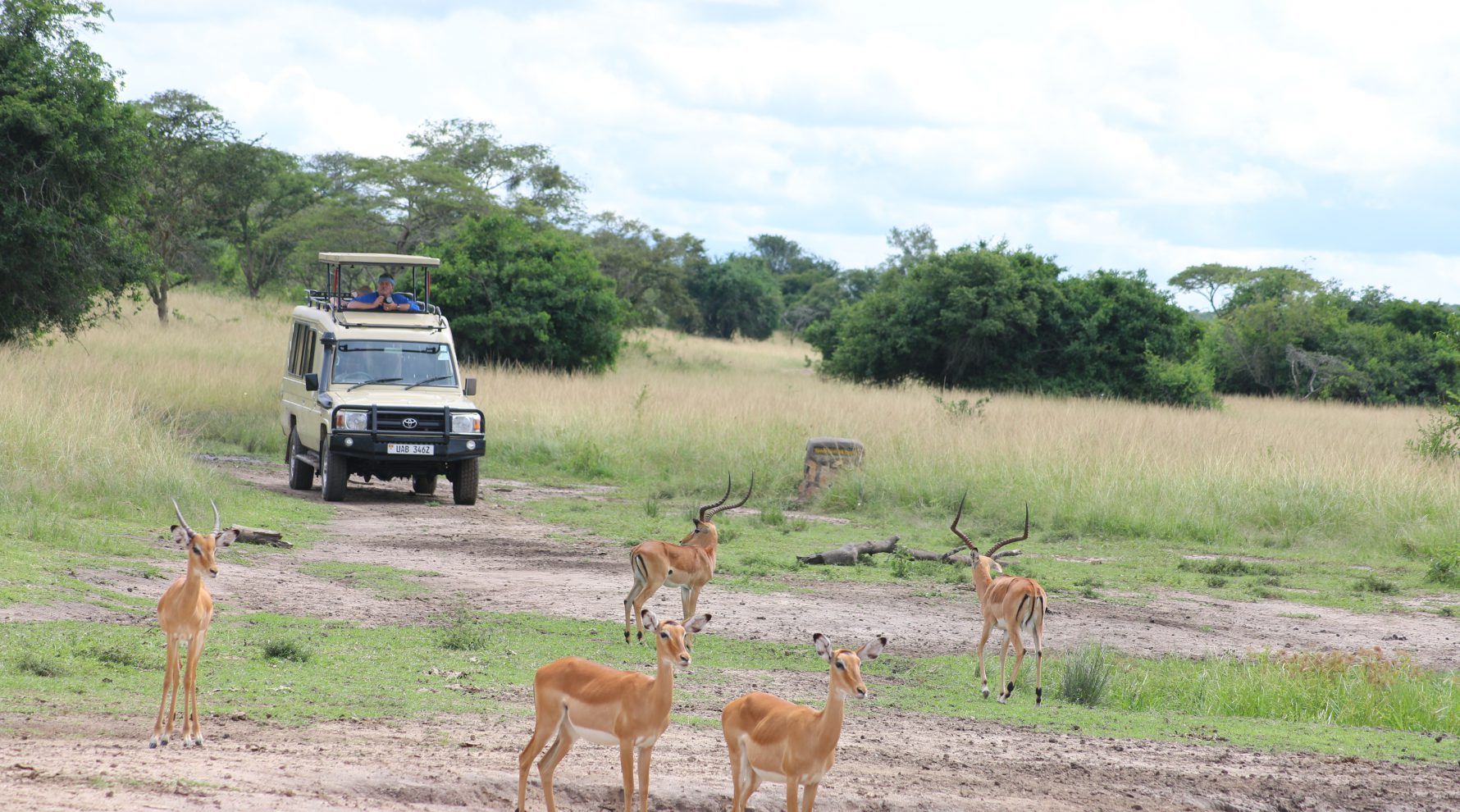 Tipping park ranger guide Uganda game drive – wildlife viewing during a game drive