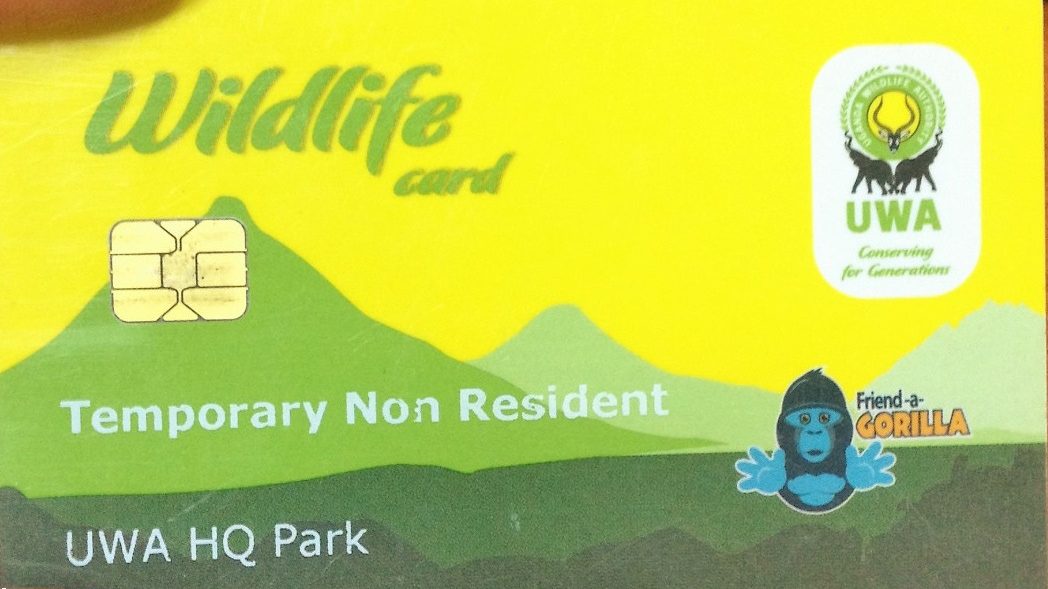 DRC Virunga gorilla trekking permit 2026 price $400 for international visitors in gorilla trekking Uganda vs DRC comparison