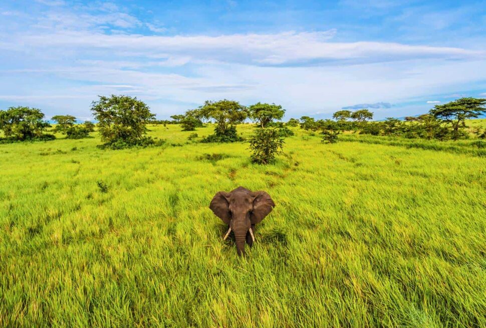 Uganda safari activities for kids under 15 – family on safari in Uganda with children