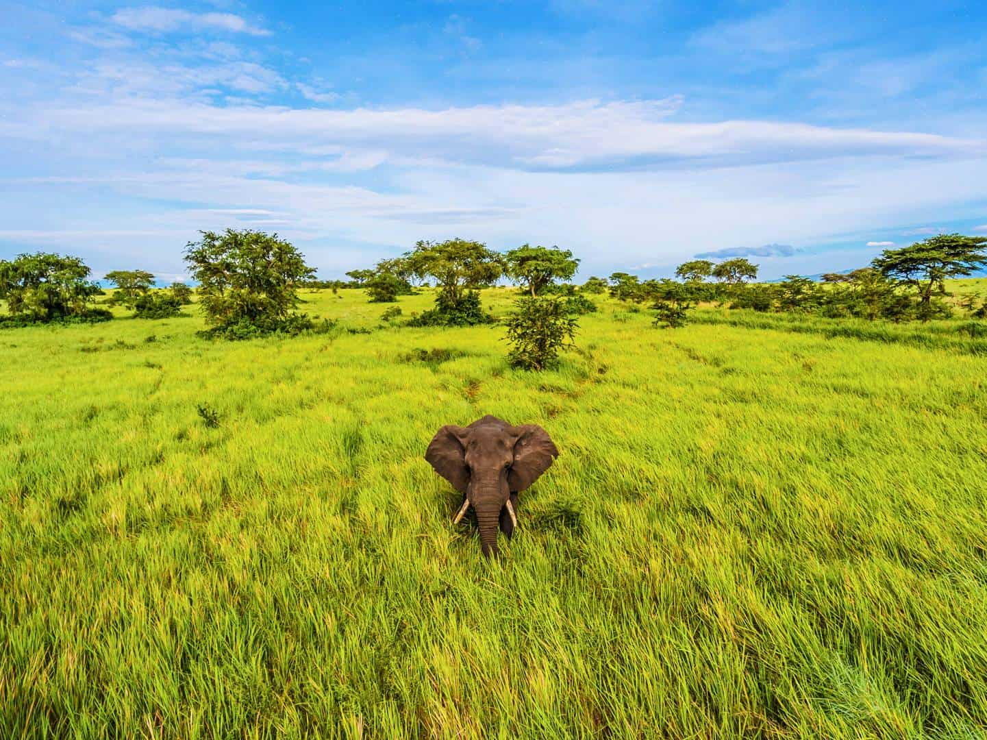 Uganda safari activities for kids under 15 – family on safari in Uganda with children