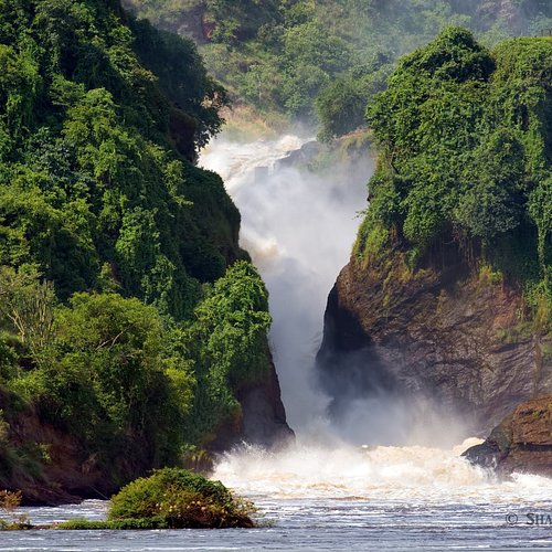 Uganda safari activities for kids under 15 – children on a nature walk in Uganda
