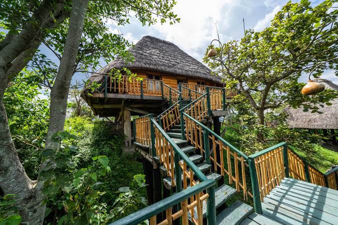 Uganda Safari Lodges with Meeting Rooms for Corporate Retreats 2026 – Top 10 Business Venues in the Wild