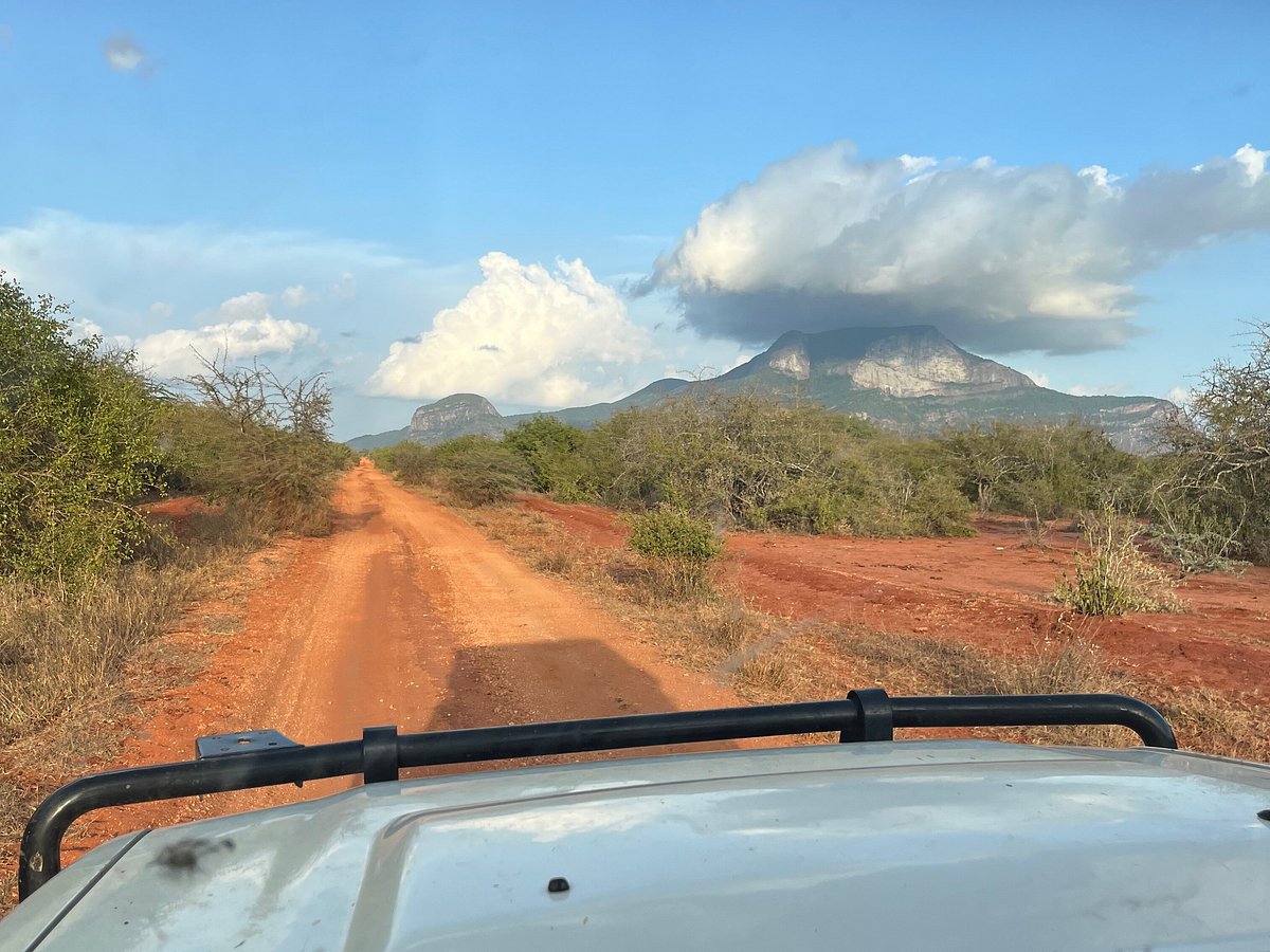 Uganda safari road conditions Google Maps accuracy – 4x4 vehicle navigating a safari track