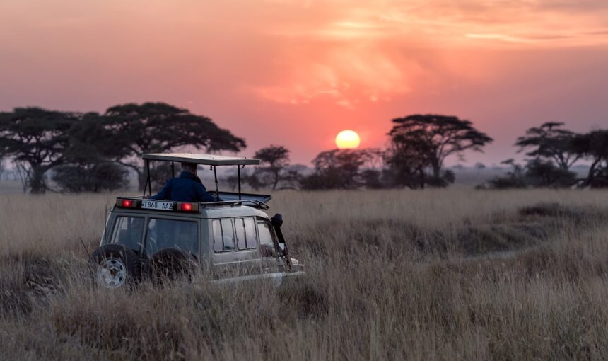 Uganda vs Kenya Safari Cost and Wildlife Comparison – 2026 Guide