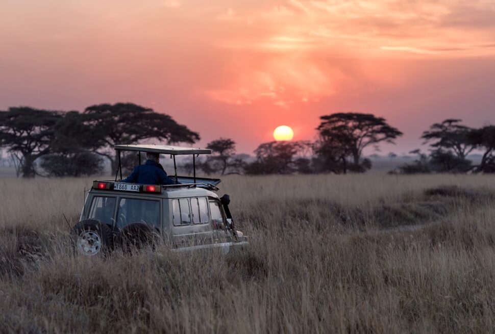 Uganda vs Kenya safari cost and wildlife comparison – gorilla trekking in Bwindi Uganda