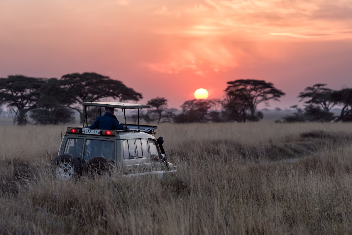 Uganda vs Kenya safari cost and wildlife comparison – gorilla trekking in Bwindi Uganda