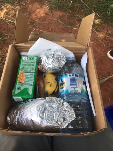 Packed vegan lunch box from Bwindi lodges with fresh fruit and sandwiches for gorilla trekking