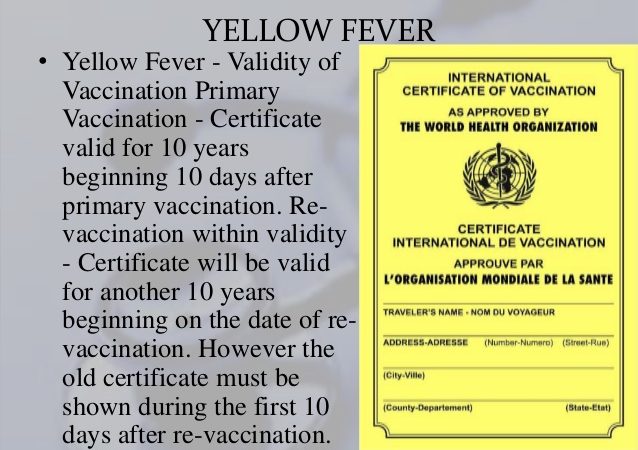 Yellow fever vaccine exemption waiver Uganda seniors – senior traveler consulting a doctor about yellow fever waiver