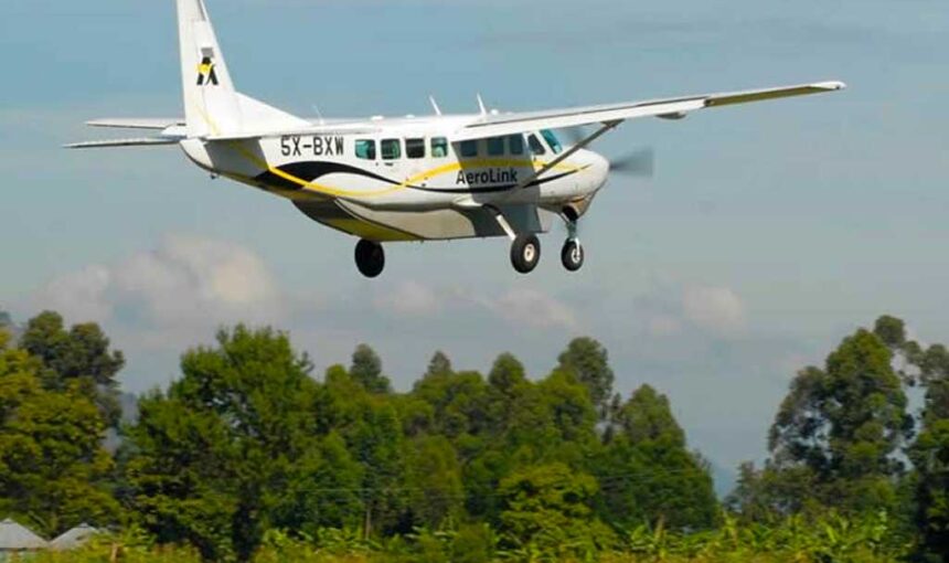 2 Day Gorilla Trekking Fly-In Safari from Entebbe: What to Know