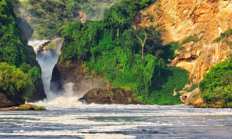 4 day Murchison Falls and Kibale safari — vehicle on the road between the two parks
