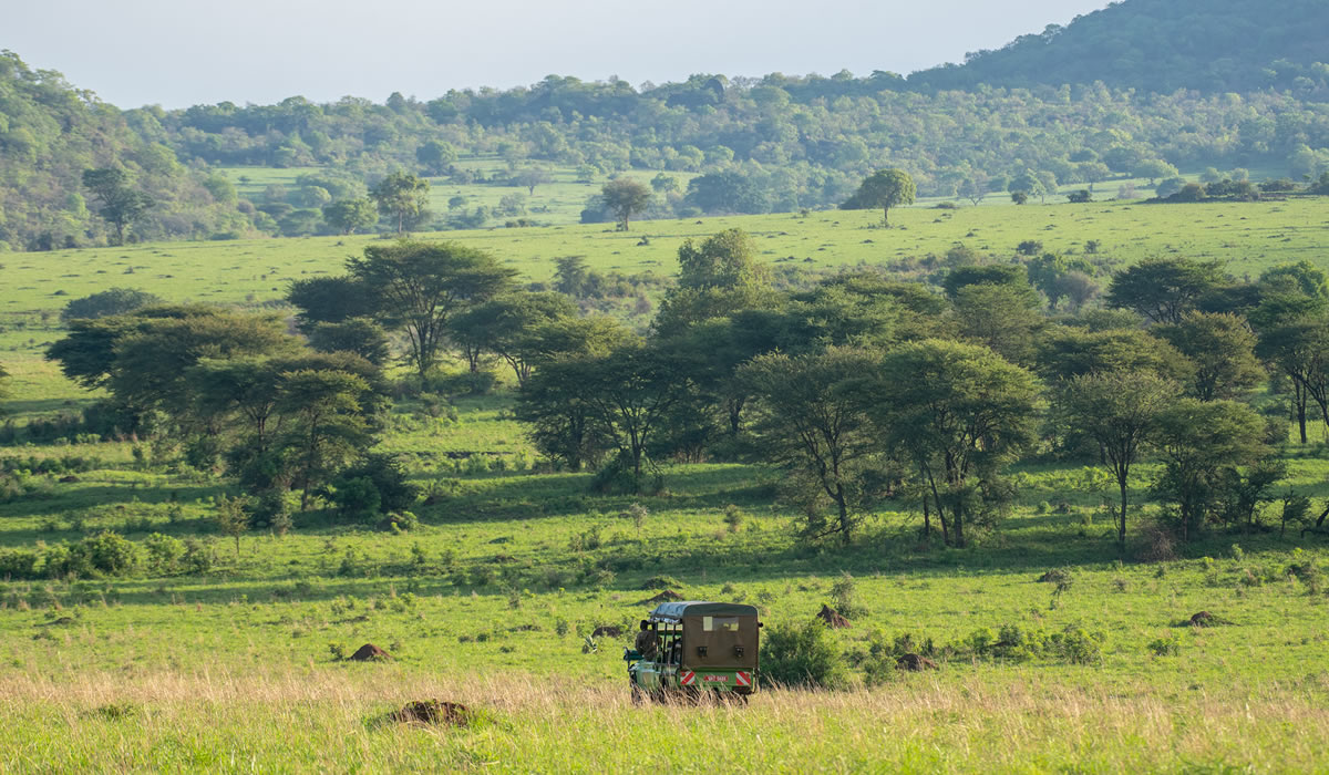 A shared game drive vehicle on affordable safari packages Uganda 2026