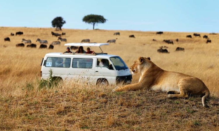 A well-maintained safari vehicle from a low cost Uganda safari company, ready for a budget adventure
