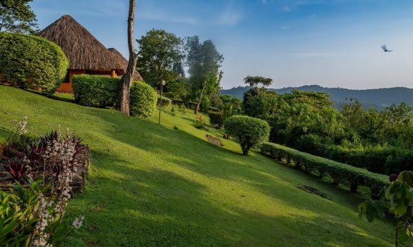 A budget lodge near Kibale, offering affordable accommodation for primate tours