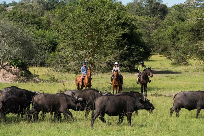 Horseback riding on a budget Lake Mburo safari, a unique and affordable activity