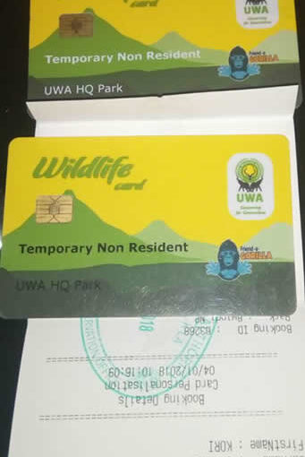Cheap Gorilla Permits Uganda: How to Get Affordable Bwindi Trekking (2026/2027 Guide) 10 Cheap Gorilla Permits Uganda: How to Get Affordable Bwindi Trekking (2026/2027 Guide)