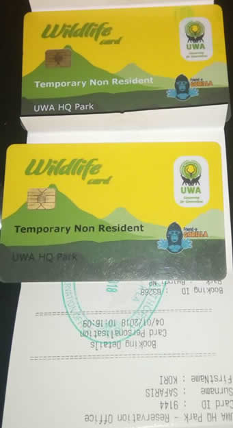 A gorilla permit document for cheap gorilla permits Uganda, showing the official Uganda Wildlife Authority stamp