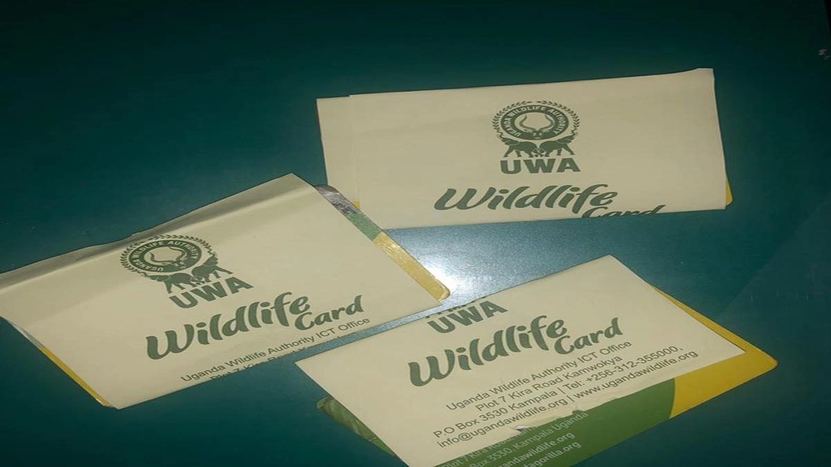The Uganda Wildlife Authority office where cheap gorilla permits Uganda are issued