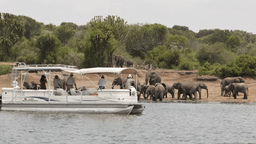 A budget boat safari on Kazinga Channel, part of cheap Queen Elizabeth National Park tours