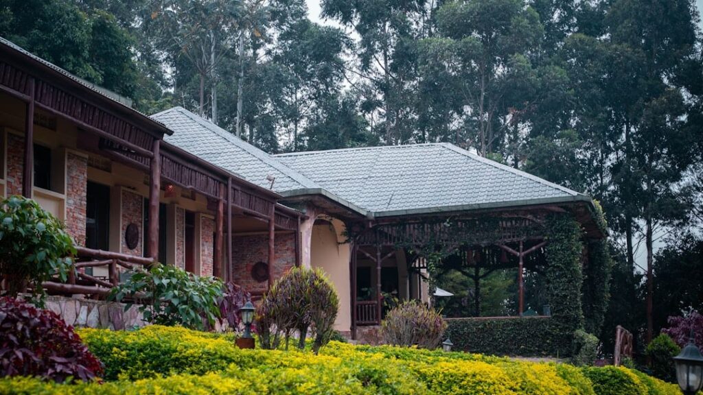 A budget lodge in Uganda, perfect for affordable safari packages